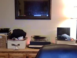 Most Recent Photo of emceemoe