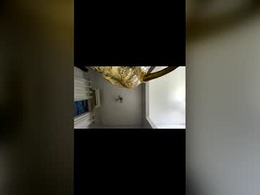 Most Recent Photo of estenioassuncao2015