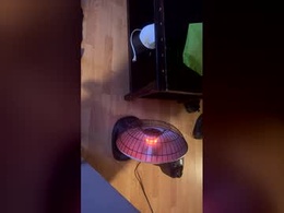 Most Recent Photo of evafoxxxts