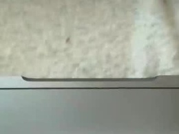 Most Recent Photo of feefifobum