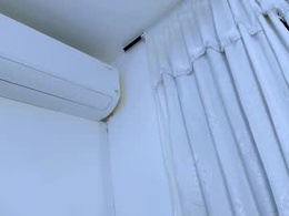 Most Recent Photo of fernanda_brown01