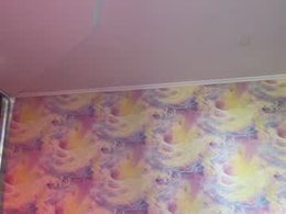 Most Recent Photo of firemaya