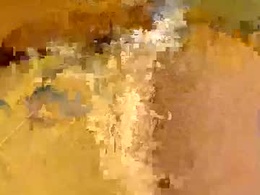 Most Recent Photo of flexngudlit