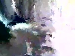 Most Recent Photo of floridawood