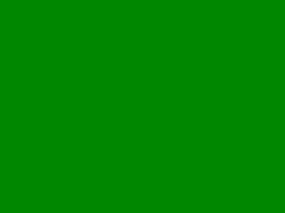 Most Recent Photo of fotzencommander