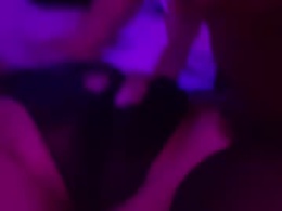 Most Recent Photo of frankmissmuss