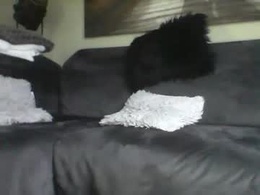 Most Recent Photo of fredo76491