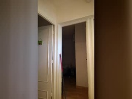 Most Recent Photo of gatumel