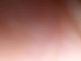 Most Recent Photo of gi90676