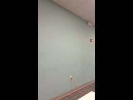 Most Recent Photo of giggalo757