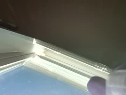 Most Recent Photo of goosetrucker982440