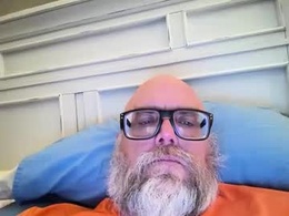 Most Recent Photo of graymosquito