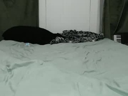 Most Recent Photo of harpervalentinexxx