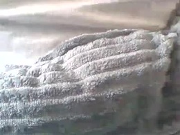 Most Recent Photo of hexino