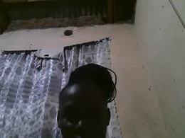 Most Recent Photo of hot_meddina
