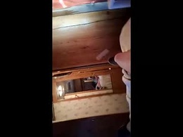 Most Recent Photo of houndmeagain