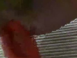 Most Recent Photo of hydrobauer95549554