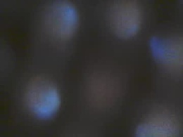 Most Recent Photo of iiiirasoa