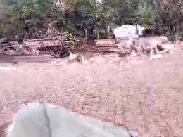 Most Recent Photo of isnuiu