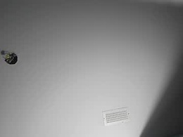 Most Recent Photo of italia262