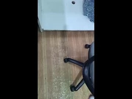 Most Recent Photo of ivogab