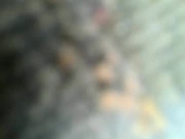 Most Recent Photo of jano7477