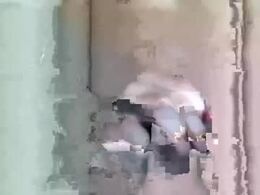 Most Recent Photo of janusinjb