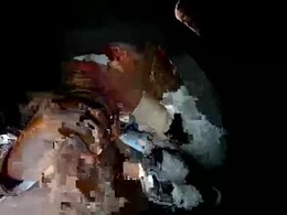 Most Recent Photo of javi2trill