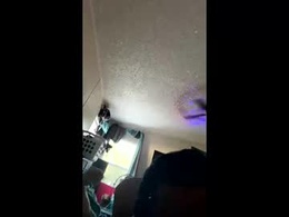 Most Recent Photo of jermaine28edwards