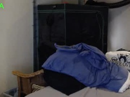 Most Recent Photo of justonetime1