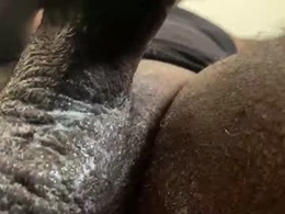 Most Recent Photo of karadi5