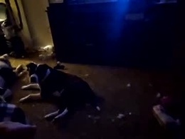 Most Recent Photo of killakent1983