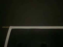 Most Recent Photo of kinkykittee