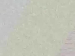 Most Recent Photo of kiwicount