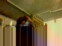 Most Recent Photo of klee6666