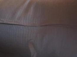 Most Recent Photo of l1t0250