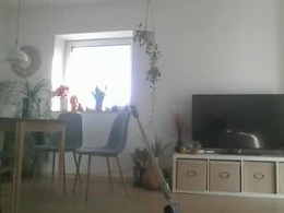 Most Recent Photo of leontorax