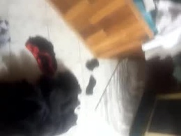 Most Recent Photo of lex123570655