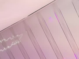 Most Recent Photo of lili_tay1