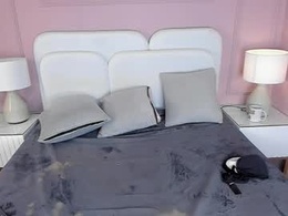 Most Recent Photo of little_vel