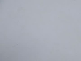 Most Recent Photo of lorena_jade