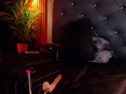 Most Recent Photo of luna_sunflower