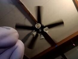 Most Recent Photo of mad650484