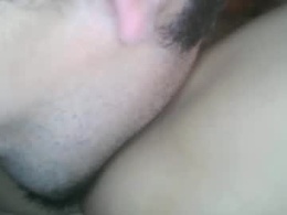 Most Recent Photo of margotshorse