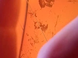 Most Recent Photo of martinhopetaylor