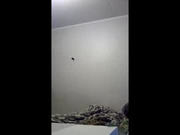 Most Recent Photo of mccormackf84