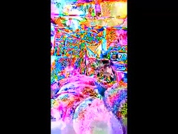 Most Recent Photo of meekers01