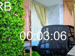 Most Recent Photo of milu_rose_