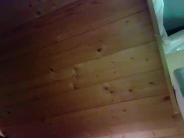 Most Recent Photo of missversatile