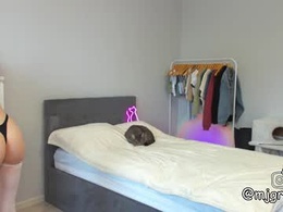 Most Recent Photo of mjgreencat